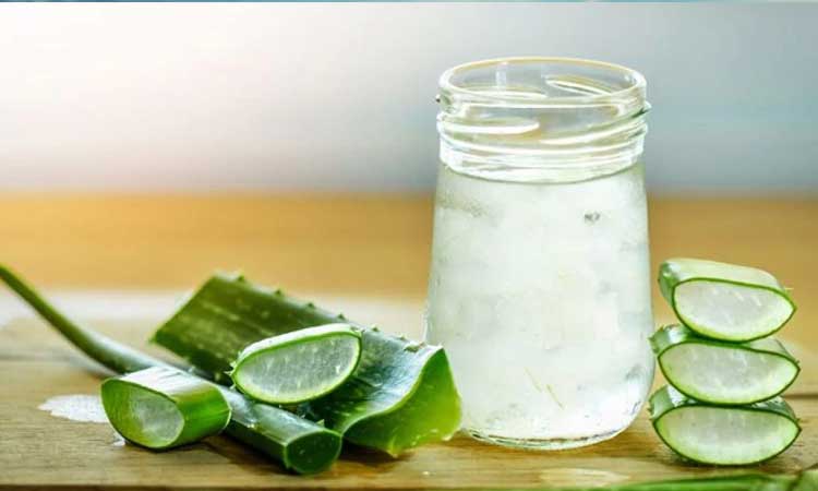 immunity booster drink drink aloe vera juice to boost immunity get 5 amazing benefits smup