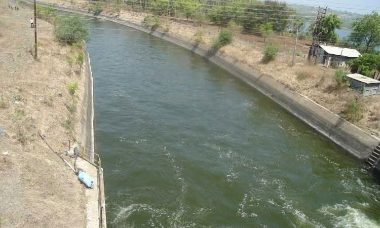 Pune: The body of a man and a woman was found in a canal in Hadapsar.