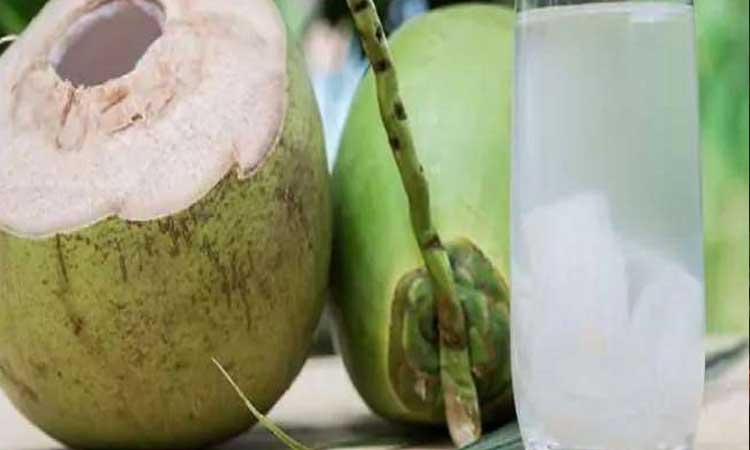 health incredible health benefits of coconut water for covid patients