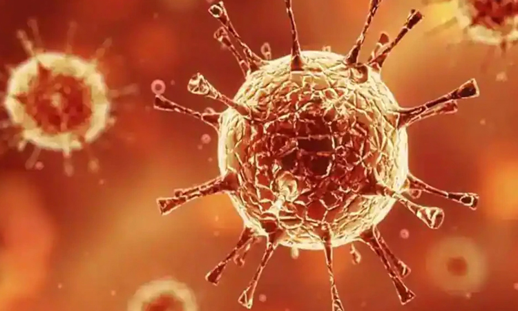 australian scientists develop treatment that kills 99 9 of the corona virus