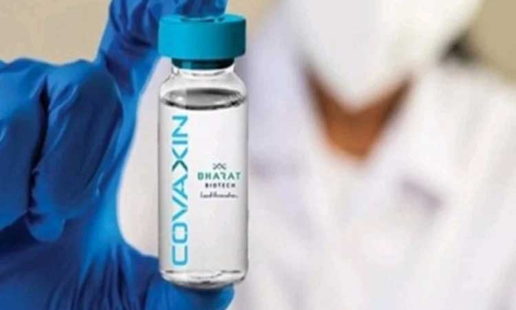 the government will not export any major consignment of covaxin until the end of october this year