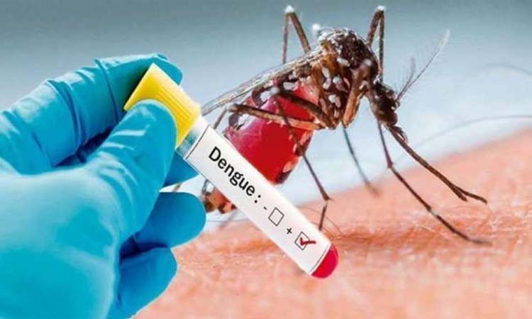 new delhi city national capital delhi is also at risk of dengue amid coronavirus infection