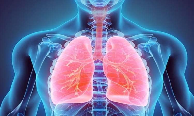 healthy diet for lungs follow these things to strong lungs and improved breathing