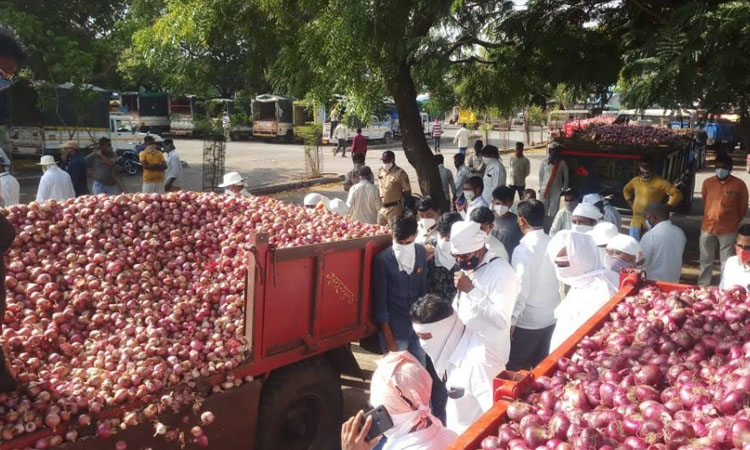 Lasalgaon Onion auction starts after 13 days Raunak in onion market