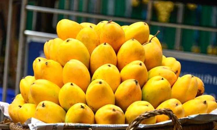 Pune Krushi Utpanna Bazar Samiti | Farmer to consumer direct mango festival should also be started in Wagholi; Market Committee Director Ramakrishna Satav Patil