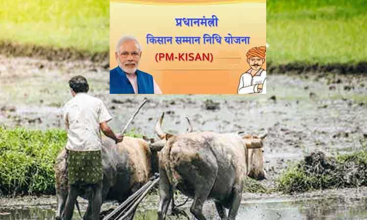 pm kisan samman nidhi scheme 8th installment rs 2000 will not come in these farmer account check list samp