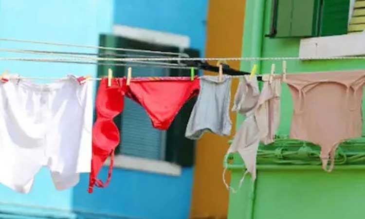 health experts reveal perfect time to replace underwear especially for women sankari