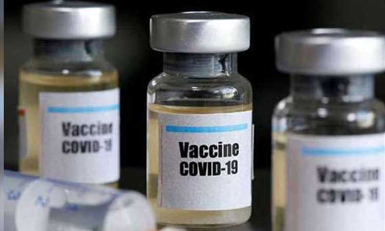 india to receive between 190 250 mn fully subsidised covid 19 vaccine dollar 30 mn fin assistanc gavi
