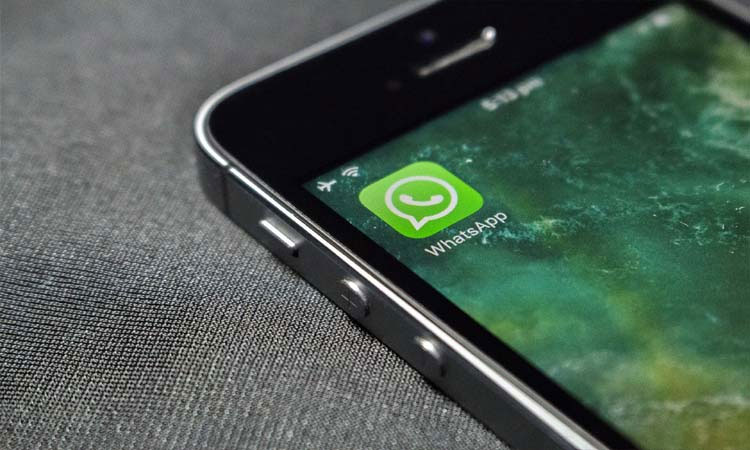 Who is watching your WhatsApp DP? Check this way, find out