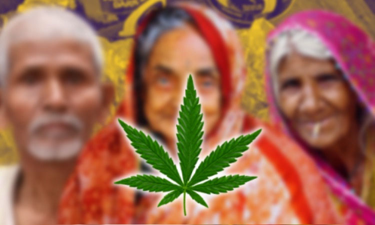 pune crime news an 83 year-old man and a 70 and 65 year old woman s were smuggling ganja Police seize 4 kg of cannabis