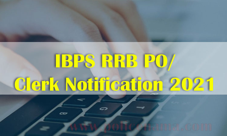 ibps rrb poclerk notification 2021 sarkari naukri ibps rrb recruitment latest updates rrb po clerk notification lbse