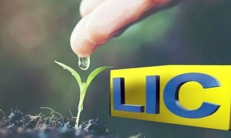 lic micro insurance plan invest only 28 rupees daily and get rs 2 lakhs benefits check how