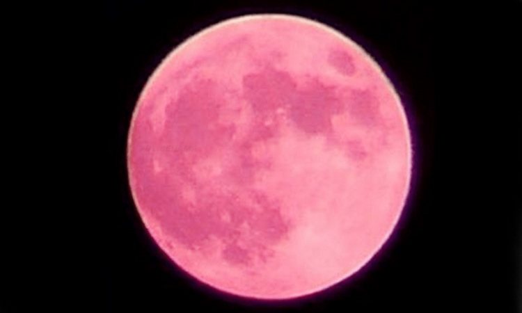 Strawberry Moon 2021 | strawberry moon on june 24 the last super moon of 2021