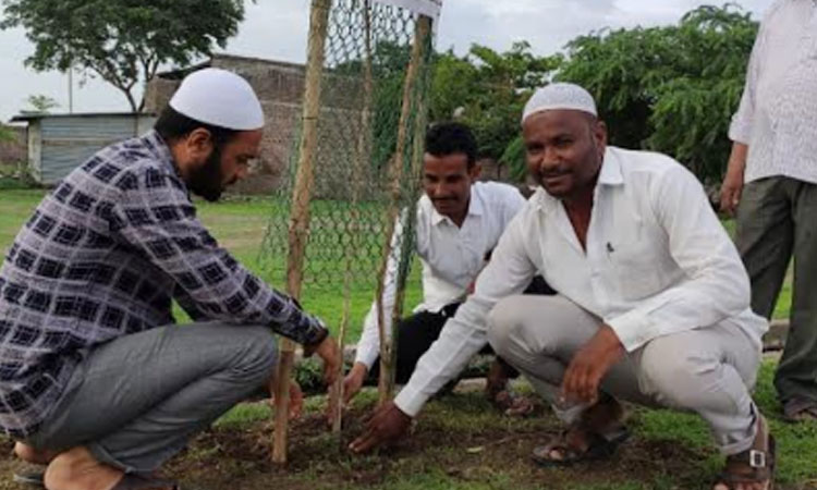 Tree planting at Pathri by Jamaat e Islami Hind