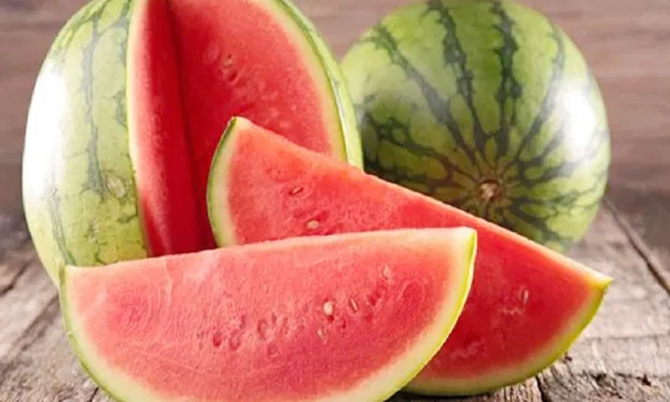 best buy to pick red and sweet watermelon buying tarabooj by checking colour and shape tricks to buy water melon know how
