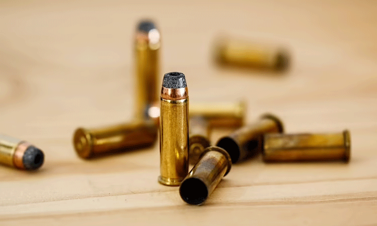 Mumbai News | 48 live cartridges found in parking lot near Aarey Milk Colony of mumbai