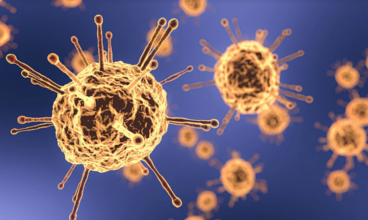 New Variant ay1 | coronavirus new variant ay1 linked to immune escape