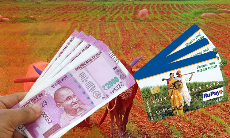top15 kisan credit card how to become member in pradhan mantri kisan samman nidhi yojana how to apply for kcc know every detail here