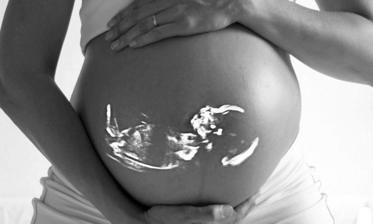human eggs 9 fascinating facts female fetus sperm development