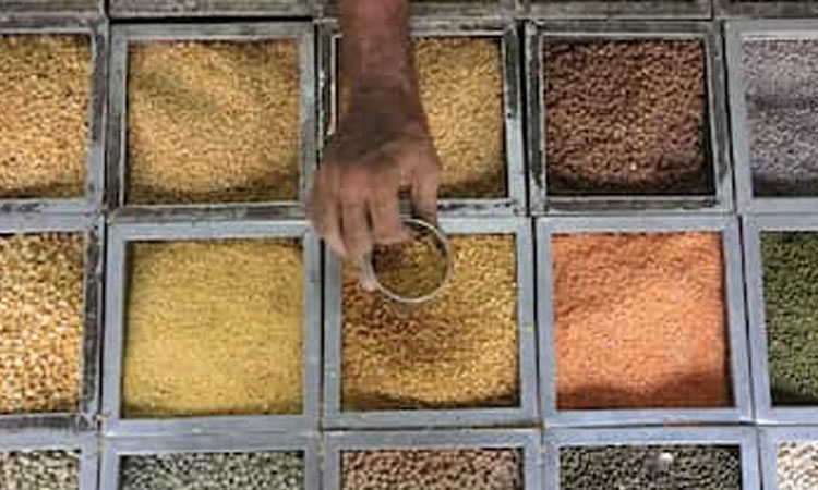 prices of pulses may decrease government may consider reduction in import duty