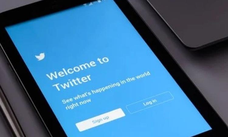 Twitter days after appointment twitter interim grievance officer for india quits