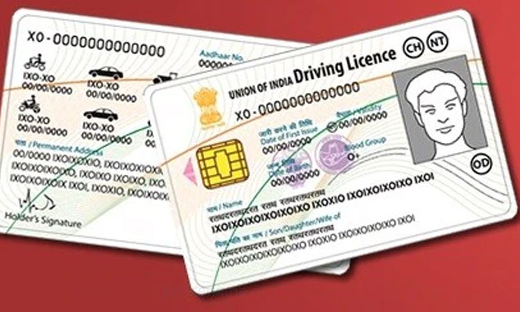 Driving License | new rules for driving license will be applicable from today know how it will be easy to make dl
