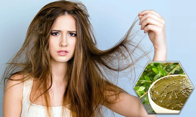 Dry Hair | green mehndi makes hair dry so what to do know about it