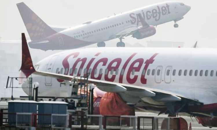 spicejet to launch 42 new domestic flights from today july 10 check routes and other details varpat