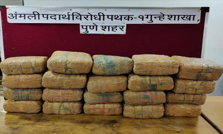 Pune Crime | 40 kg cannabis seized from Pune-Saswad road, action of anti-narcotics squad of crime branch