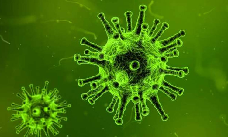 norovirus | with-the corona virus now the increased risk of norovirus know its symptoms