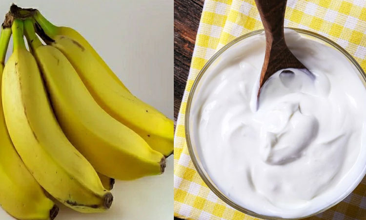 Benefits of banana curd | eat curd banana in breakfast then you get amazing benefit know here benefits of curd and banana
