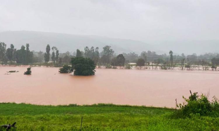 Ratnagiri Flood | heavy rainfall in konkan bridge washed away in flood water at kasarkolvan river ratnagiri
