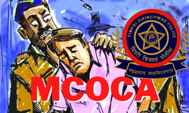 pimpri crime | mcoca on two criminal gangs in pimpri chinchwad mahalunge area