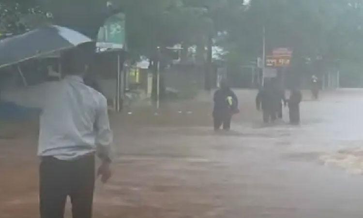 Maharashtra Rain Alert | imd forecast heavy rainfall imd issues yellow alert for raigad ratnagiri kolhapur pune satara sindhudurg
