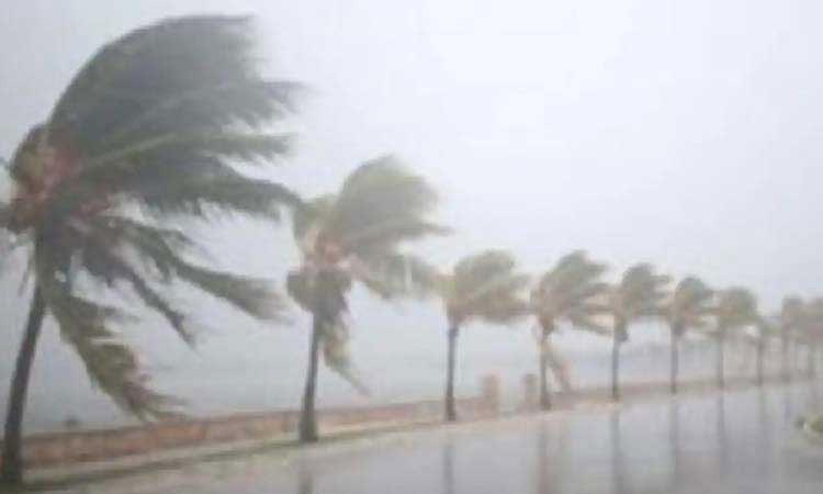 IMD Alert | strong winds in north arabian sea maharashtra gujrat imd give yellow alert to ghat area including pune