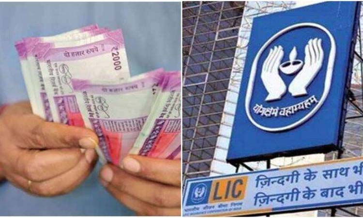 Lic Jeevan Amar Policy claim more benefits at less premium know here