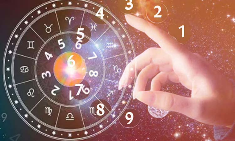 numerology and your career know about ank shashtra and your future