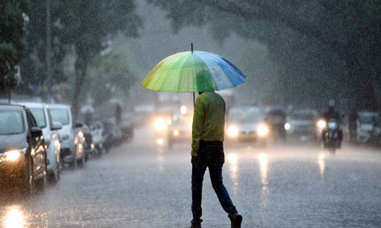 Rain in Maharashtra | Rain will hit 5 district for next 5 days in east vidharbha and thunderstorm in marathwada