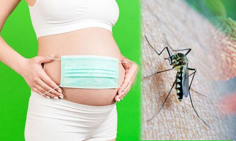 Zika Virus | advice to avoid conceive pregnancy 4 months due to risk of infection zika in pune