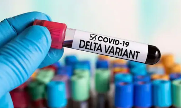 Delta Variant | nose infected with delta contains 1260 times more virus than normal covid 19 virus says research read here full detail about sars cov 2 delta variant