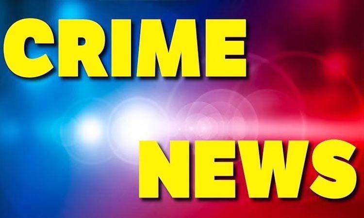 Crime news | kalamana police arrested theft gang in nagpur