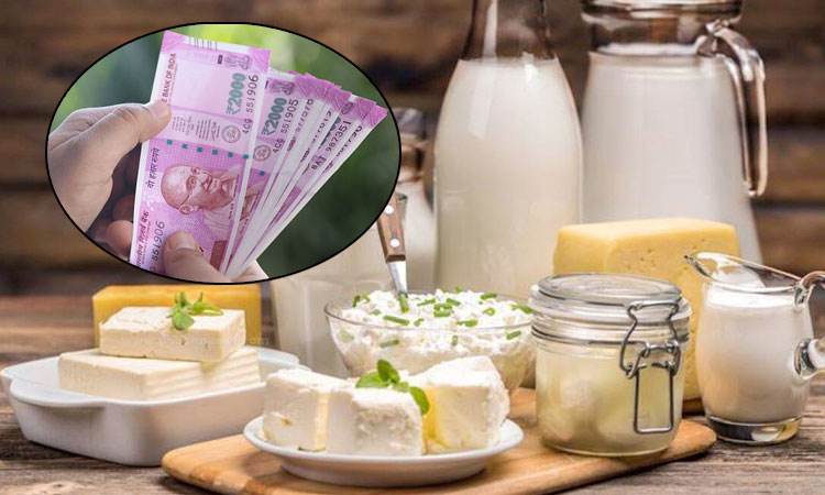 Earn Money | selling milk ghee butter etc can earn rs 3 lakh in a month paras is giving a chance