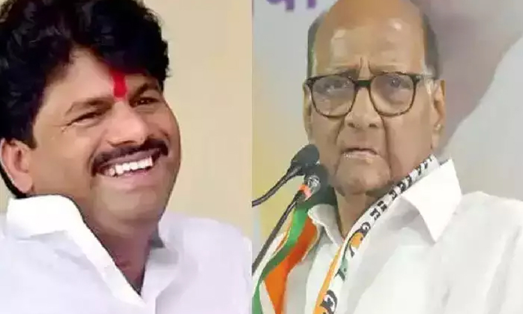 BJP MLA Gopichand Padalkar | 'Sharad Pawar's love for OBC has blossomed today'