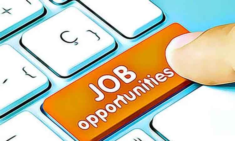 Bharti University Recruitment | job alert bharti university pune openings for different posts