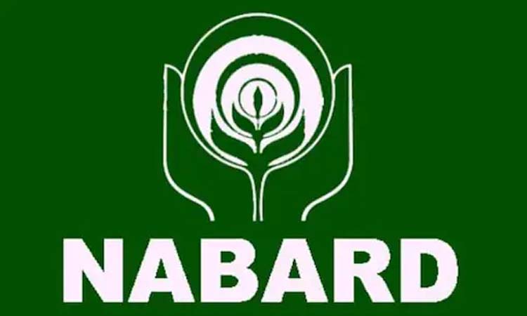 nabard s loan increased by 25 percent to rs 6 lakh crore in the financial year 2020 21