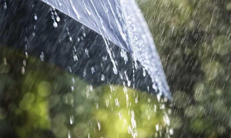 Weather Update | maharashtra rain update upcoming five days rainfall possibility