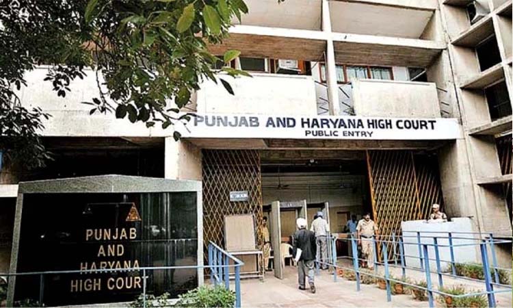 High Court | high court said if the wife tortures then the husband definitely has the right to separate