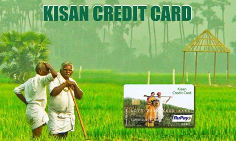 KCC | good news modi government will give kisan credit card to all farmers apply here check process