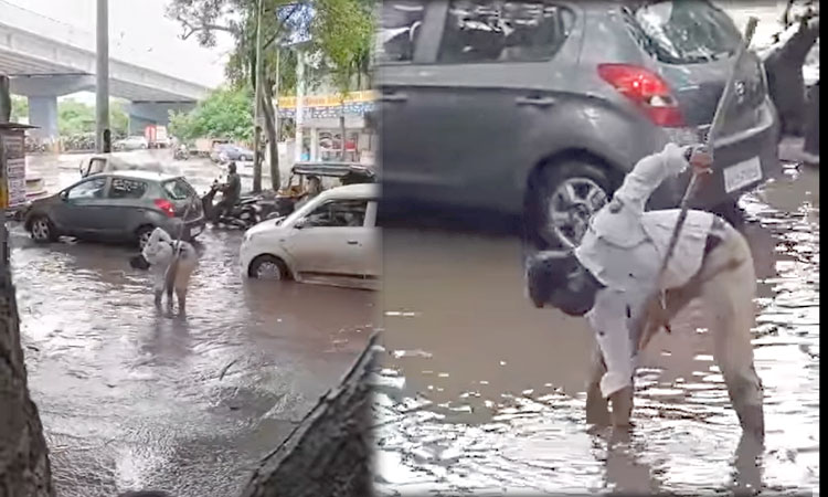 Pune Police | pune traffic police done good work