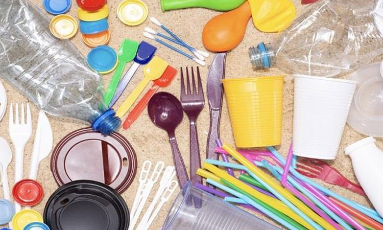 Single Use Plastic Ban | single use plastic going to be banned from this date